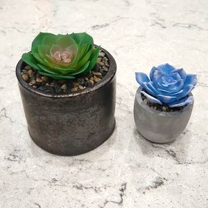 2 Faux Succulent Plants